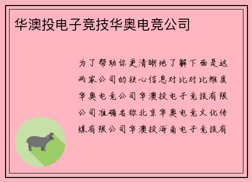 华澳投电子竞技华奥电竞公司
